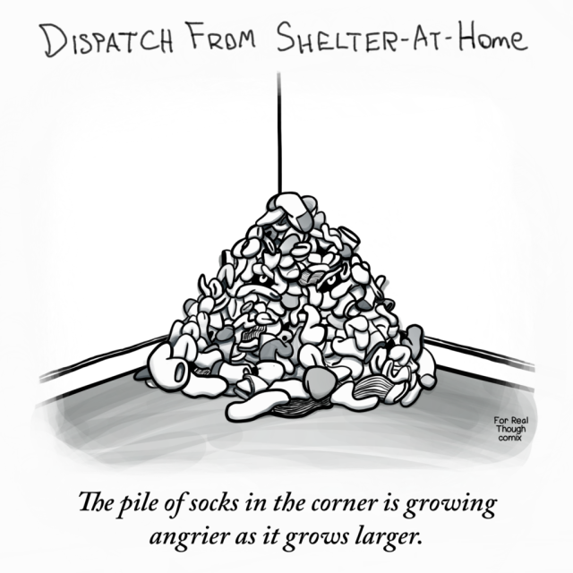 Dispatch From Shelter-At-Home 3